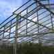 monika_m_seibel_glasshouses 2